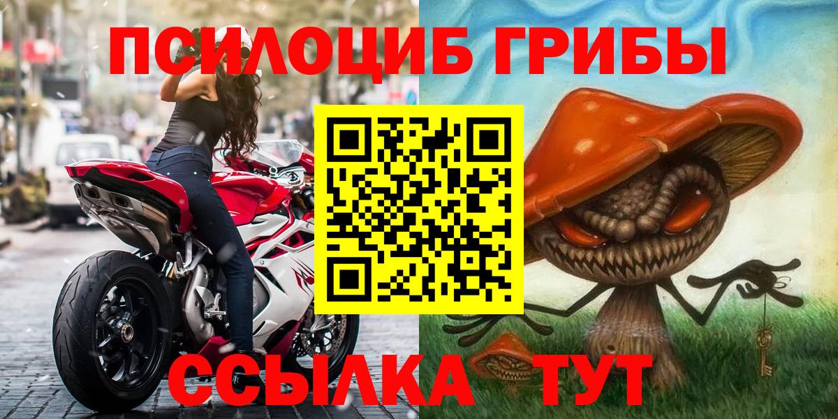 Домодедово  Псилоцибиновые грибы Cubensis  Вход с VPN  Псилоцибиновые грибы прущие грибы 